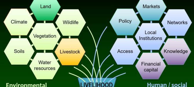 Commodity Frontiers, Social Cohesion, and Livelihood Adaptation