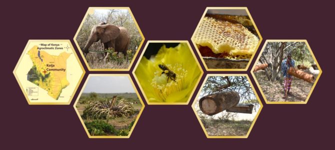 Bees, Beekeeping, and Livelihood Transitions